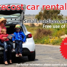 Car rental sale in May (2016)