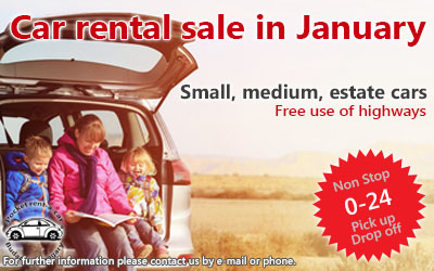 Car rental sale in January (2017)