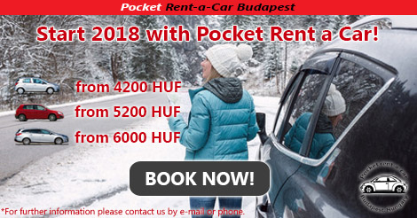 Car rental sale in January (2018)